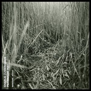 FreeeⅩXX性欧美另类HD
