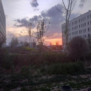 国产又大又黄又猛又爽的竹
