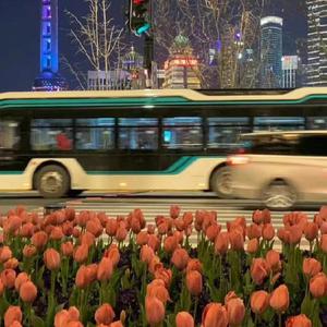 少妇嗯嗯啊太粗太硬了轻点
