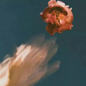 小🐔🐔伸进🈲🔞🔞TV
