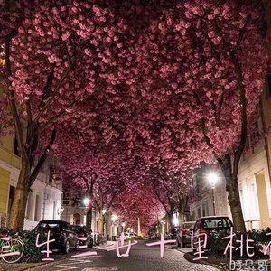 欧美日韩色色不卡免费看
