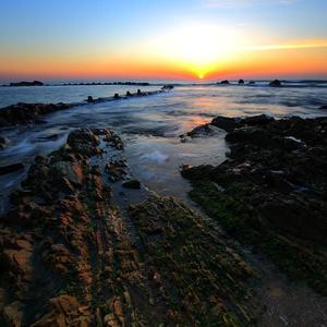 午夜福利免费区在线观看
