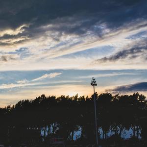 韩国女团赛玩具视频在线播放免费观看
