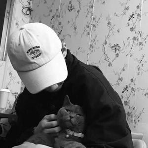 黑丝颜射在线观看
