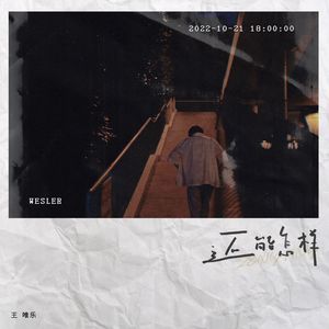 熊猫视频做爱免费
