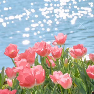 哦！快点用力阿用力视频
