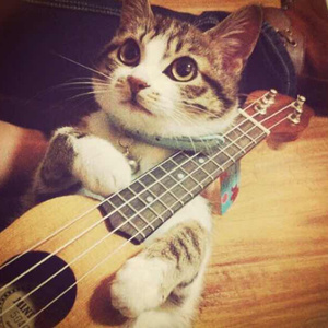 午夜福利免费区在线观看
