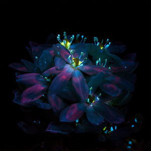 国产熟女乱伦视频
