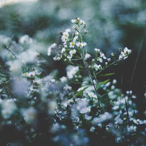 宝贝腿开大点我添添你下边A片
