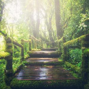 爆乳自慰夜影院
