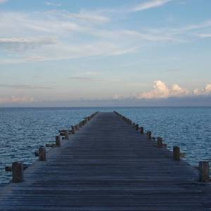 丰满放荡岳乱妇31www
